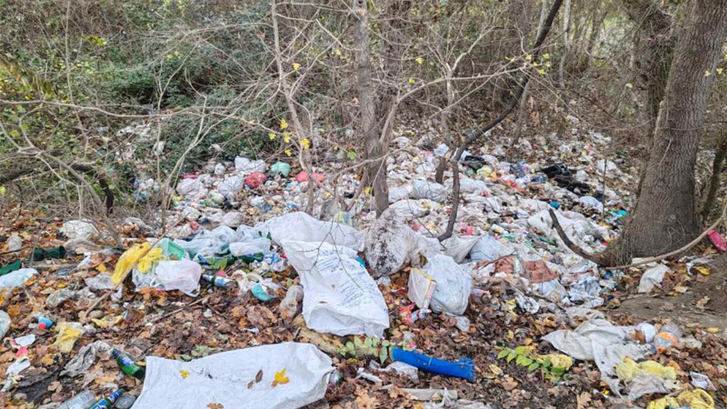 Xaçmaz: Nərəcan bələdiyyə sədri məsuliyyətə cəlb edilib