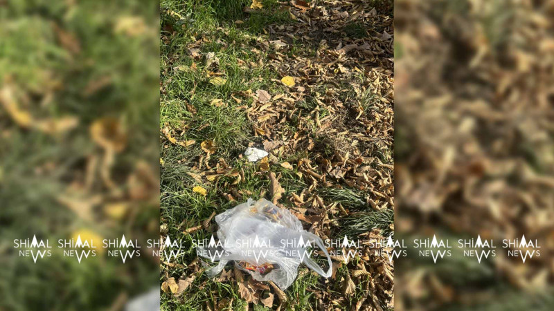 Qusarın “Terrenkur”u bərbad hala salınır - FOTO
