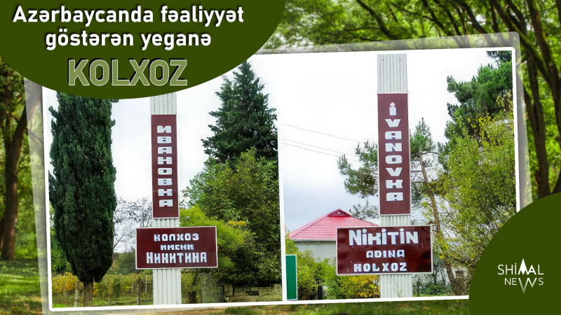 Azərbaycanda fəaliyyət göstərən yeganə kolxoz