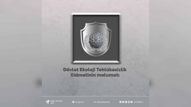 ETSN: Quba-Qəçrəş yolunda ağaclar kökündən çıxarılıb