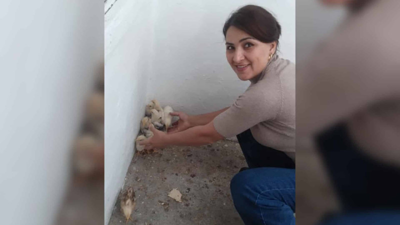 Qusarda qadın “Cücə istehsalı” ilə məşğuldur