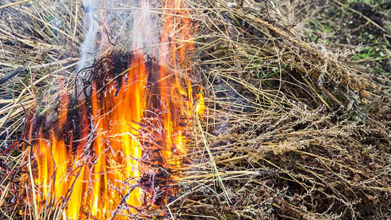 FHN: İsmayıllıda yanğın qeydə alınıb