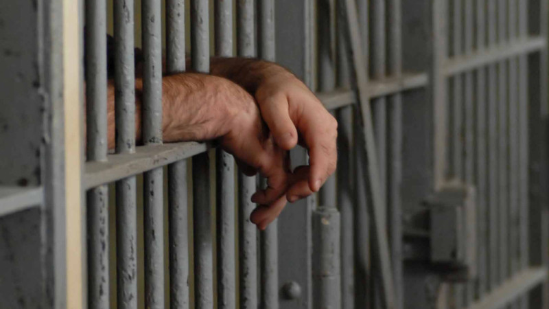 İsmayıllıda qanunsuz ağac kəsənlər cəzalandırılıblar