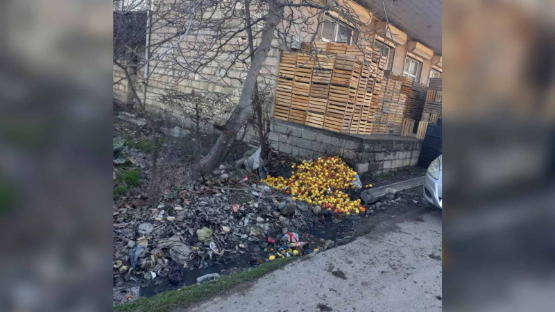 Quba: antisanitar vəziyyət yaradan şəxslər tutulublar