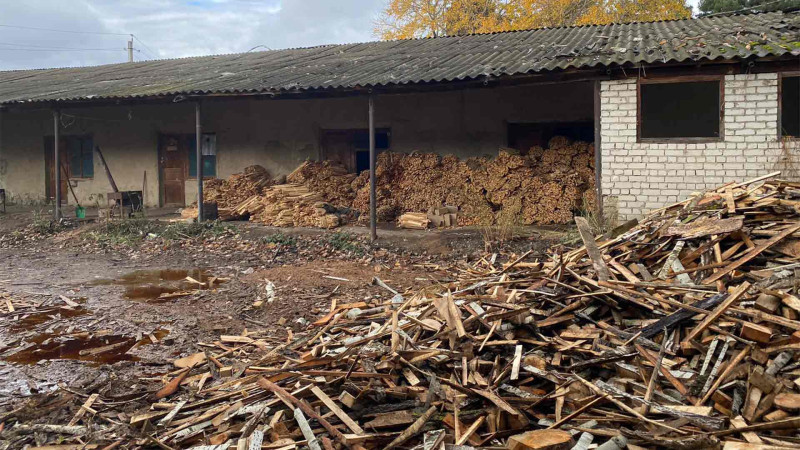 Xaçmazda qanunsuz ağac emalı aşkar edilib