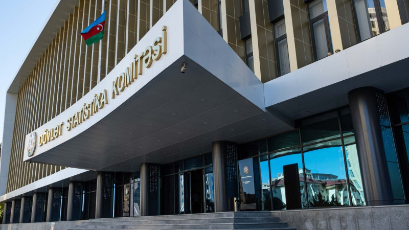 İsmayıllıda payızlıq bitkilərin əkin sahəsi 21 hektardan çox olacaq