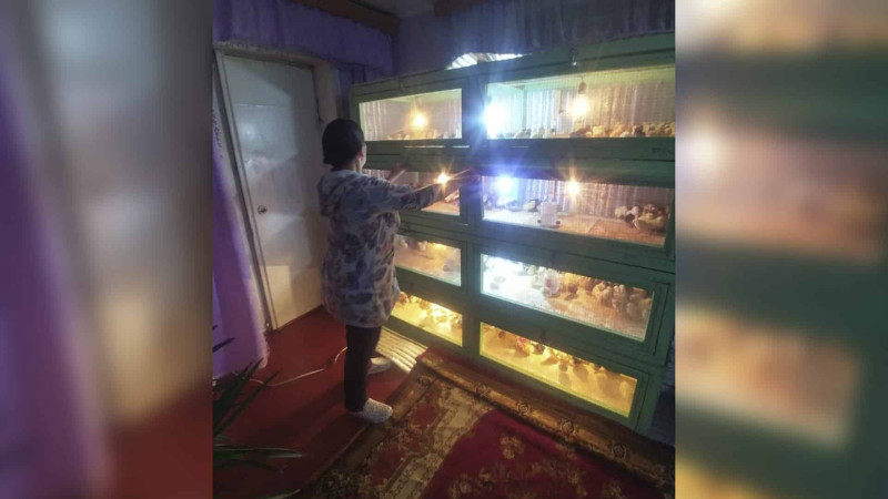 Qusar Qadın Resurs Mərkəzinin üzvü şəxsi biznesə sahib olub