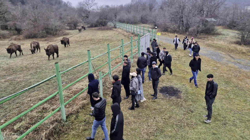 İsmayıllı: tələbələr milli parkında olublar