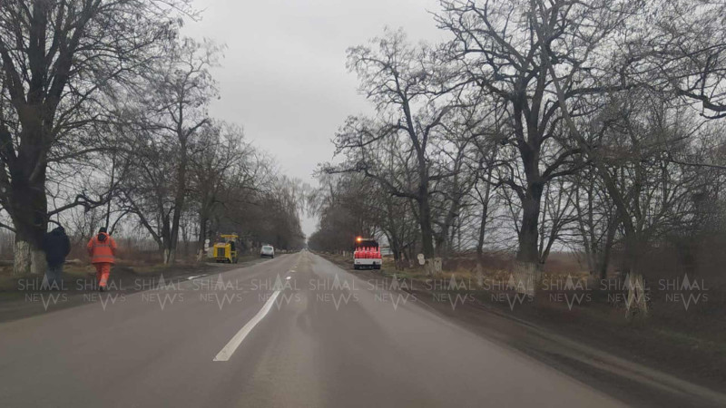 Quba-Xaçmaz yolu: yol ayırıcı xətlər rənglənir