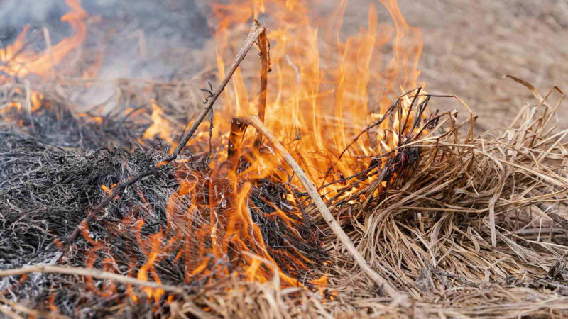 FHN: İsmayıllıda yanğın qeydə alınıb