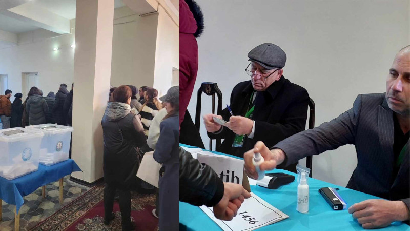 Qubada seçici fəallığı müşahidə edilir