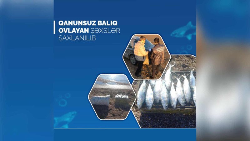 Xaçmaz: qanunsuz balıq ovlayan şəxs saxlanılıb