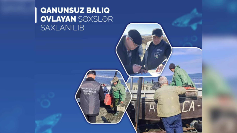 Xaçmazda qanunsuz balıq ovlayanlar cərimələniblər