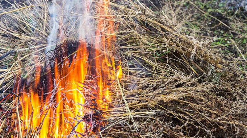 Xaçmaz: Hacıabdurəhimoba kəndində yanğın baş verib