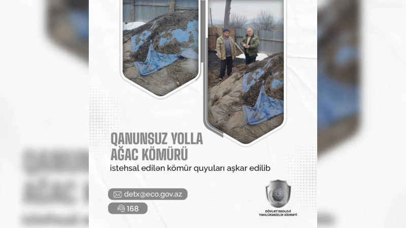 Qubada qanunsuz kömür istehsalı aşkarlanıb