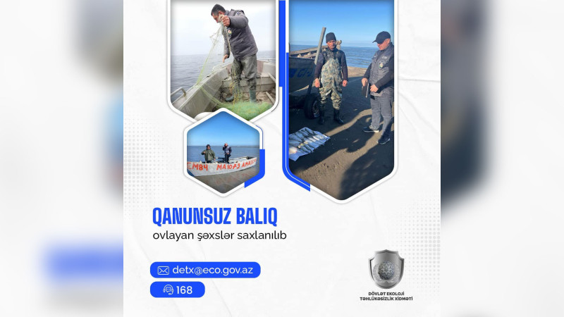 Xaçmaz: Xəzərdə brakonyerlər saxlanılıblar