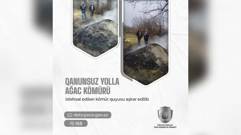 Qubada qanunsuz kömür istehsalı aşkarlanıb