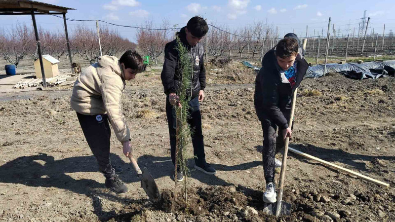 Xaçmaz: gənclər və idman sektorunun əməkdaşları ağac əkiblər