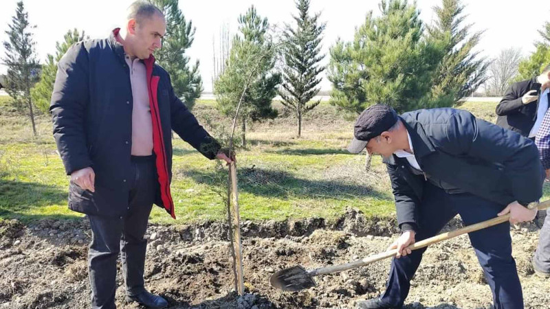 Xaçmaz: Bədən Tərbiyəsi və İdman Günü münasibətilə aksiya keçirilib