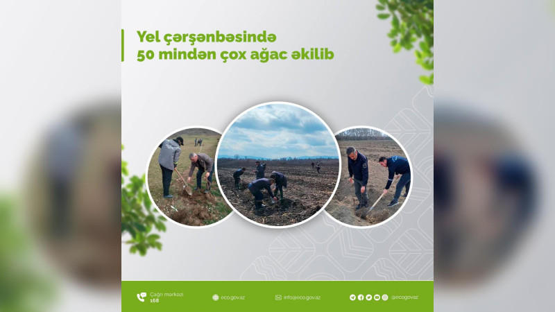 Quba: Novruz bayramı ərəfəsində meşə fondu torpaqlarında ağaclar əkilib