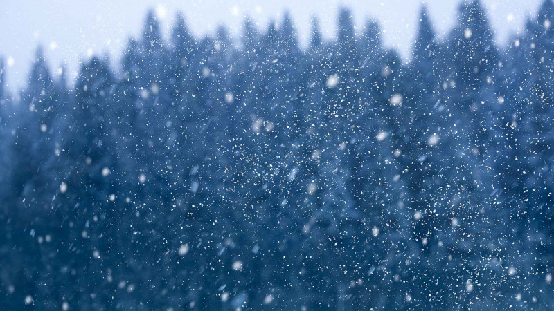 Şimal: havanın temperaturu aşağı enəcək