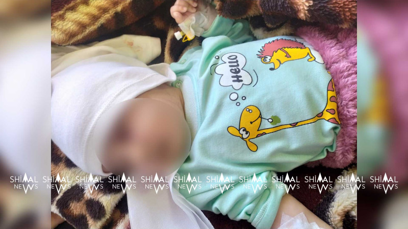 Şimal: Ödənişli yolda qəzaya uğrayan ailənin kimliyi açıqlanıb