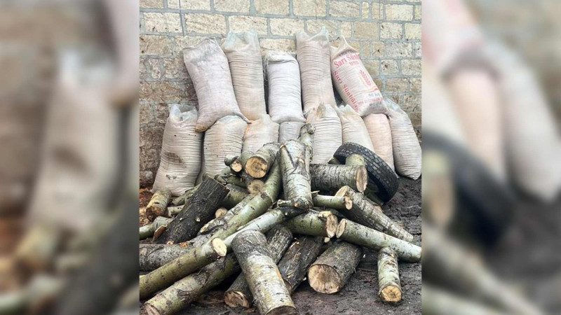 Quba: təbiətə ziyan vuran şəxs barəsində akt tərtib olunub