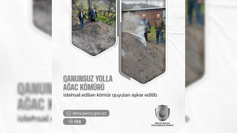 Qubada qanunsuz kömür istehsalı aşkarlanıb