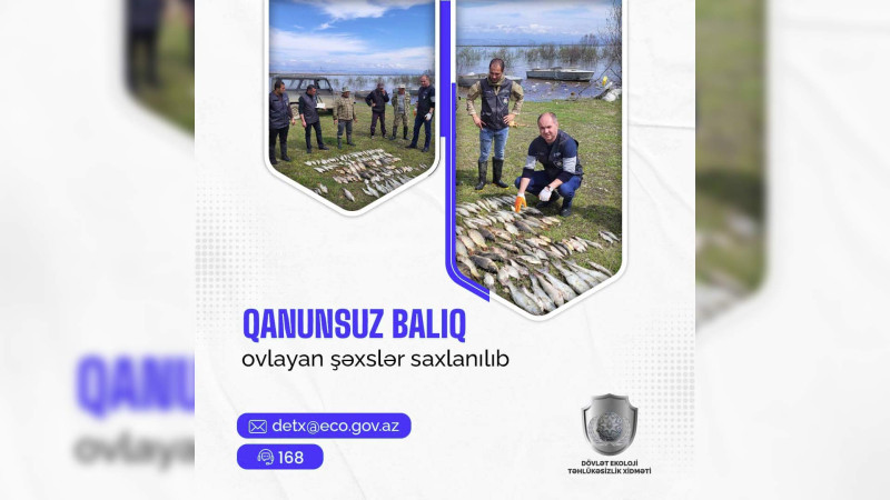 Quba sakini qanunsuz ov edərək tutulub