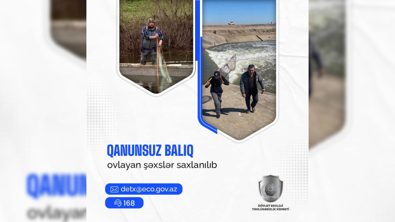 Xaçmaz: qanunsuz balıq ovlayan şəxs cəzalandırılıb