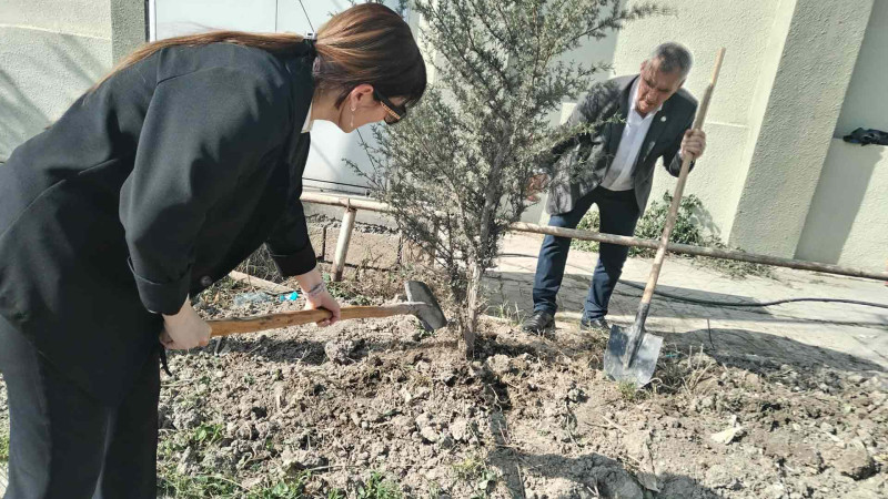 Xaçmaz Peşə liseyinin heyəti ağaclar və güllər əkib