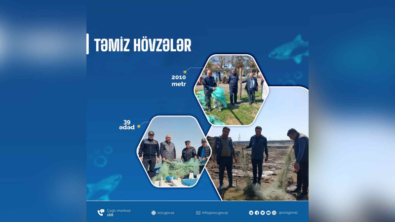 Xaçmaz: sintetik torlar yığışdırılıb
