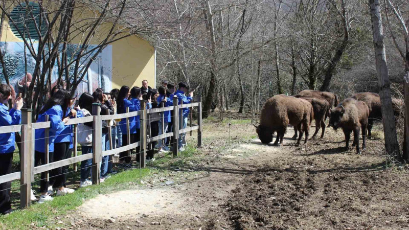 Şahdağ milli parkına maarifləndirici səfər təşkil edilib