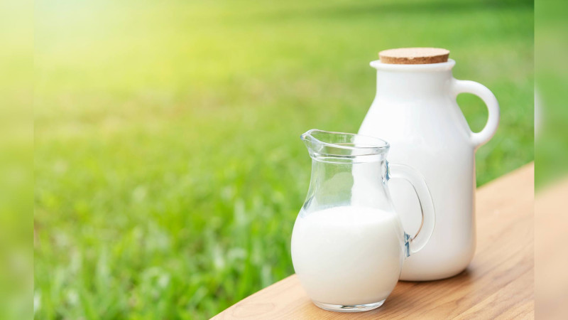 Şimal rayonları süd istehsalında əhəmiyyətli yer tutur