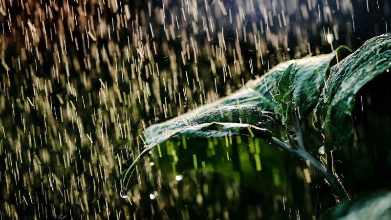 Xaltan, Qrız, Qusar, Xınalıqda hava yağıntılıdır