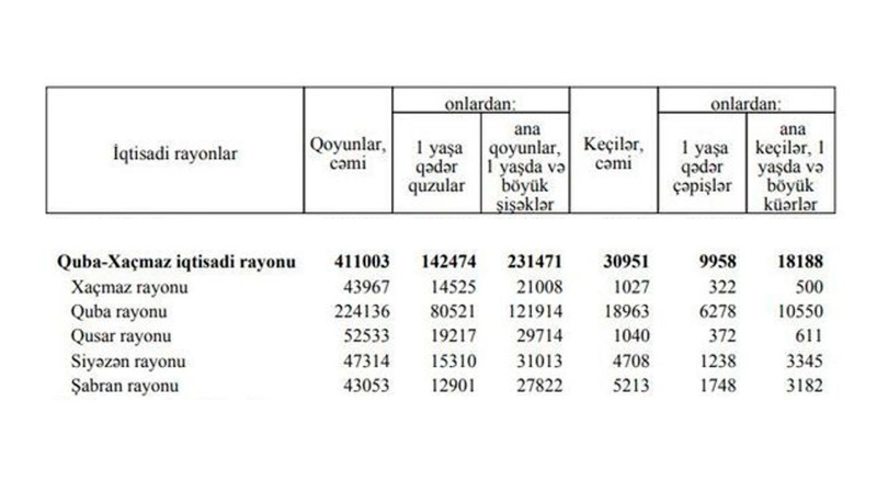 Quba-Xaçmaz iqtisadi rayonunda xırdabuynuzlu heyvanların sayı bəlli olub