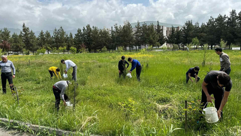 İsmayıllı OİK: Abadlaşdırma aksiyası keçirilib