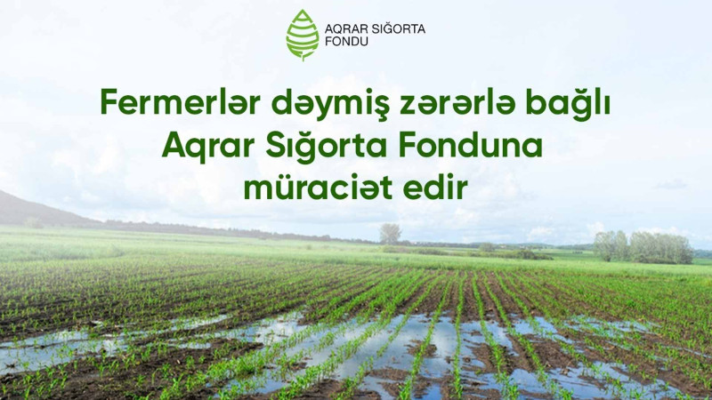 Quba və Qusar: Fermerlər sığorta üçün müraciət ediblər