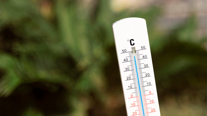 Şimal: Mayda havanın temperaturu günbəgün artacaq