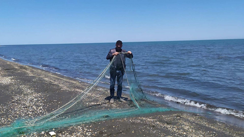 Xaçmaz: Torlar su hövzələrindən yığılıb