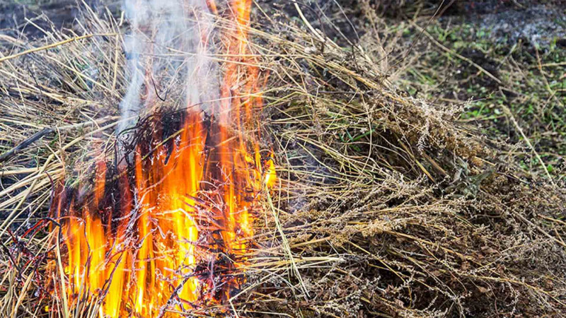 Xaçmaz: 1500 kiloqram ot yanıb