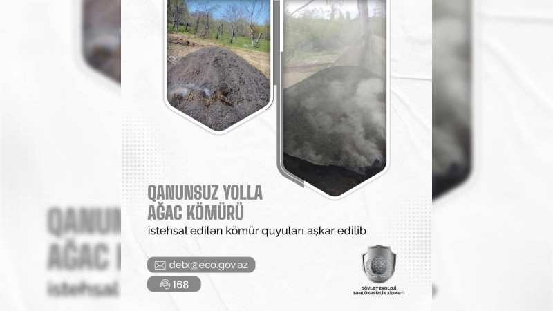Quba: Kömür istehsal edən 7 nəfər müəyyən edilib