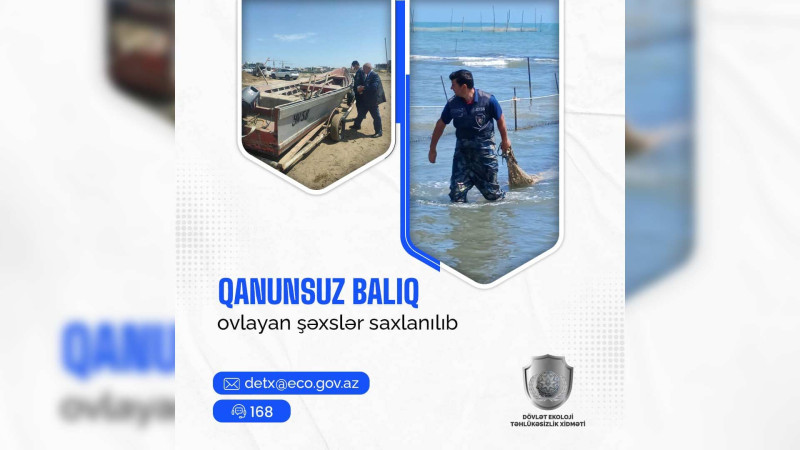 Xaçmaz: Qanunsuz balıq ovlayan şəxs cəzalandırılıb