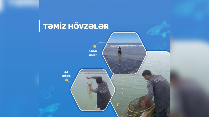 ETSN: Xaçmazda qanunsuz balıq ovunun qarşısı alınıb