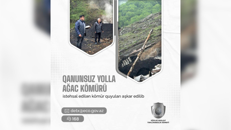 Qubada qanunsuz kömür quyuları aşkar olunub