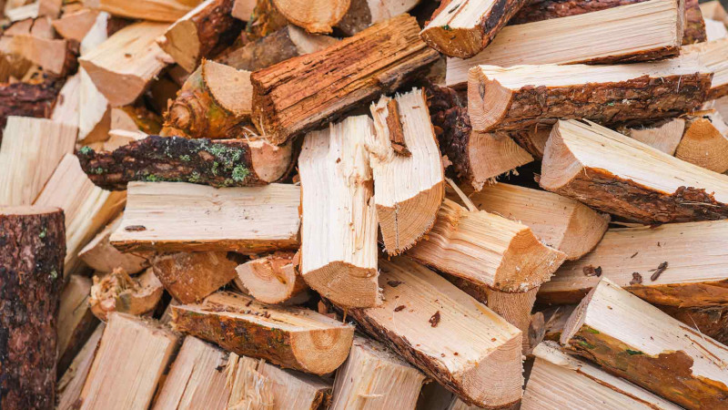 Odun satışı üzrə hərrac keçiriləcək