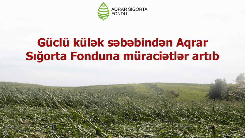 İsmayıllı və Qusar: Fermerlər aqrar sığortaya ümidlidirlər