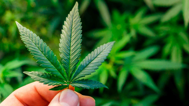 DİN: Xaçmaz sakinindən narkotik vasitə götürülüb