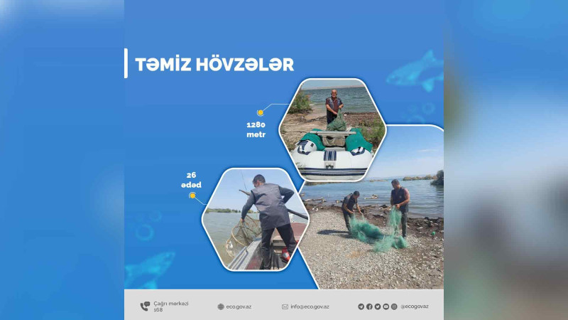 Xaçmaz: Torlar su hövzələrindən yığılıb