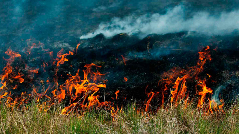 Xudatda yanğın olub
